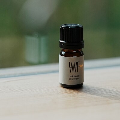 maf Essential oil Tea Tree エッセンシャルオイル　at23004