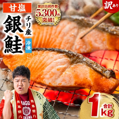【訳あり】 銀鮭 切り身 合計 1kg_045-6128-A