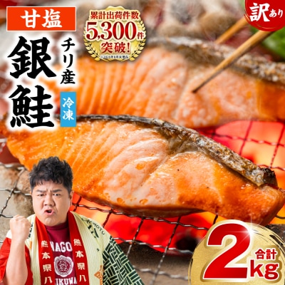 【訳あり】 銀鮭 切り身 合計 2kg_045-6129-B