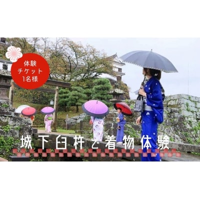 城下臼杵で着物体験(1名様体験チケット)