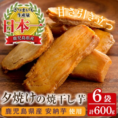 【60日以内配送】鹿児島県産 国産 安納芋使用 夕焼けの焼き干し芋(100g×6袋)