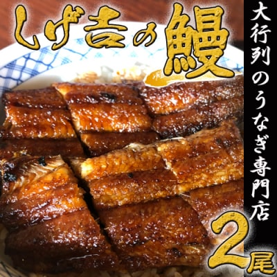 人気店しげ吉!うなぎ長焼き 2本セット 炭火焼き (冷蔵)