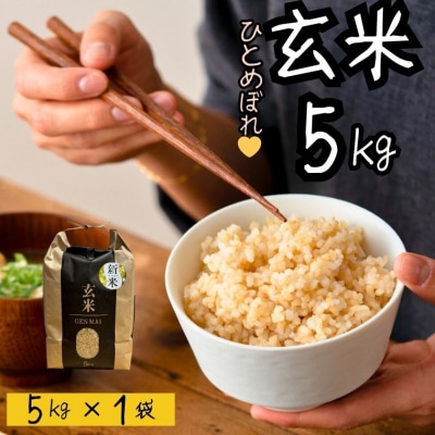 米 ひとめぼれ 玄米 5kg
