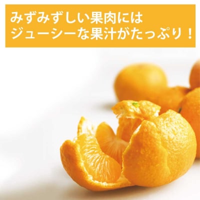 長田農園 早生みかん 秀品 S-Lサイズ 10kg