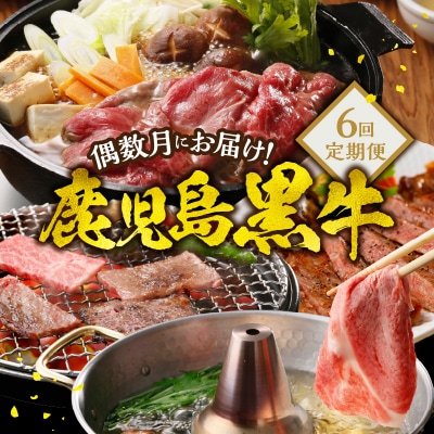 偶数月にお届け!鹿児島黒牛定期便 6回定期便