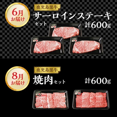 偶数月にお届け!鹿児島黒牛定期便 6回定期便