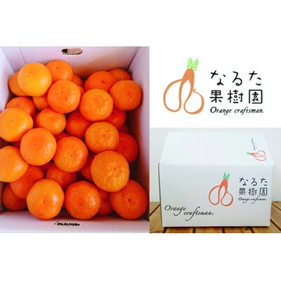 成田果樹園の温州みかん5kg (ご家庭用) [1832-1-1]
