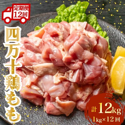 四万十鶏もも肉(カット済)計12kg 1kg×12回 4Zコース [(H)1796-2]