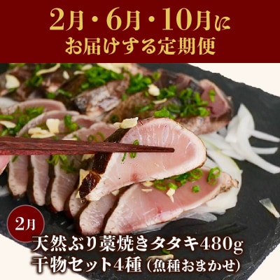 土佐の海からの贈り物!初・戻りカツオ/天然ブリ/干物 定期便3回 [(H)1226-3]