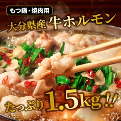 たっぷり1.5kg!大分県産牛ホルモン/ もつ鍋 / 焼肉用_1454R