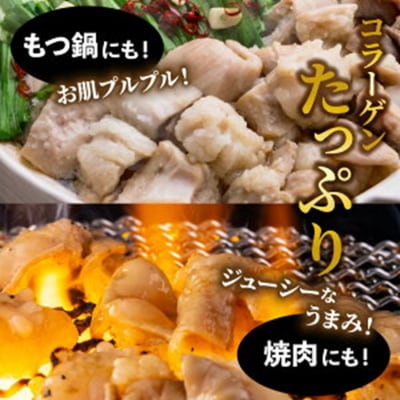たっぷり1.5kg!大分県産牛ホルモン/ もつ鍋 / 焼肉用_1454R
