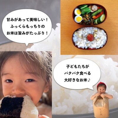 mama-yasaiコシヒカリ 5kg