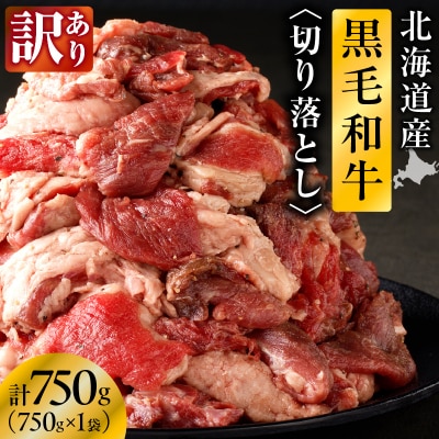【訳あり】北海道産 黒毛和牛すじ切り落とし　750g×1袋|国産 冷凍 小分け パック 滝川市-