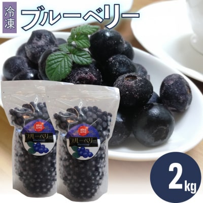 冷凍ブルーベリー計2kg 佐川町産<4～6ヶ月程度で発送予定>