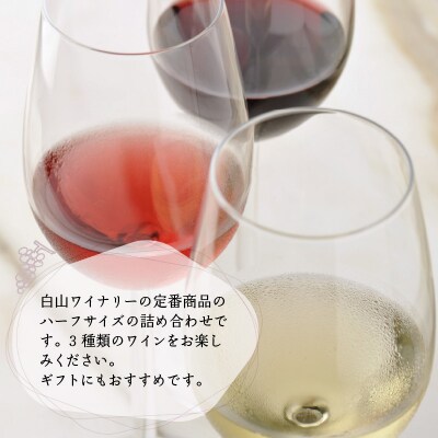 レギュラーワイン ハーフ 3本セット 飲み比べ 【お中元】