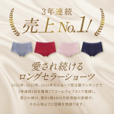  見た目スッキリ きれいに整うディアヒップ ショーツ LLサイズ《カラー:GR》