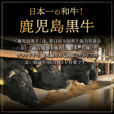 鹿児島県産黒毛和牛A5等級サーロインステーキ2枚セット 400グラム