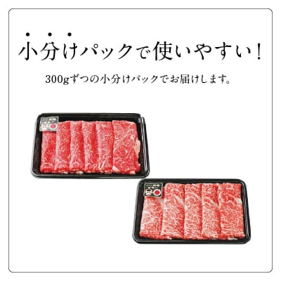 鹿児島黒牛食べ比べ(リブロース・モモ)セット 600グラム