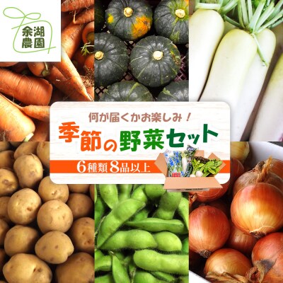 北海道産季節の野菜詰め合わせ 6種類8品