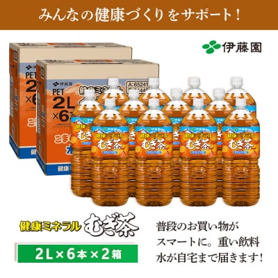 健康ミネラル麦茶2L×6本×2箱