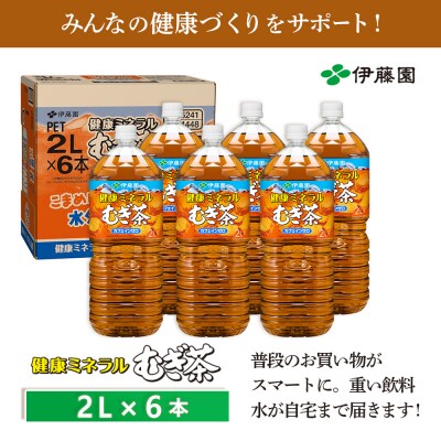 健康ミネラルむぎ茶2L×6本