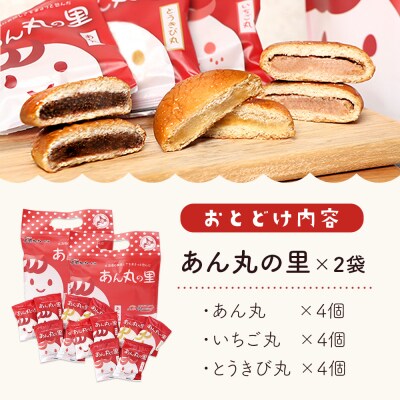 あん丸の里セット×2個セット
