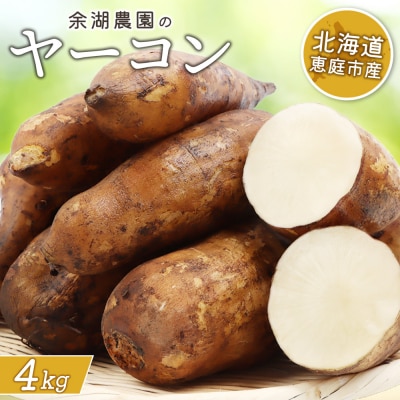 【先行予約】【北海道恵庭市産】余湖農園のヤーコン4kg