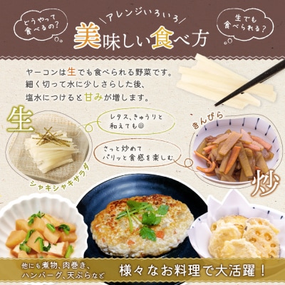 【先行予約】【北海道恵庭市産】余湖農園のヤーコン4kg