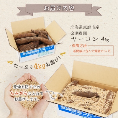 【先行予約】【北海道恵庭市産】余湖農園のヤーコン4kg