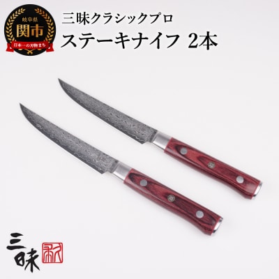 ClassicPro3　ステーキナイフ2本セット　ZCPR3-8020D-2