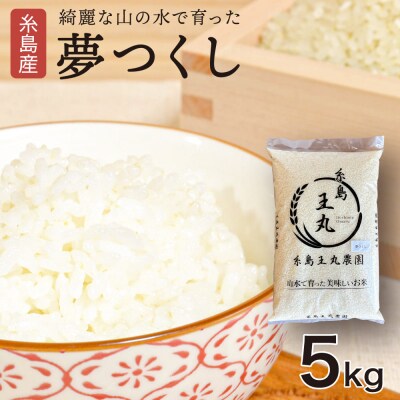 糸島産 夢つくし 5kg　糸島市/糸島王丸農園(谷口汰一)[AAZ001]