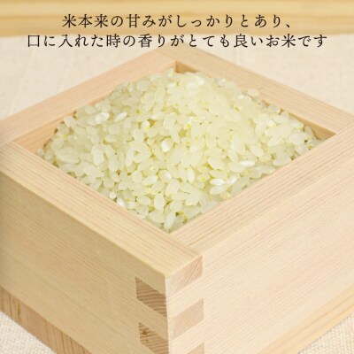 糸島産 夢つくし 5kg　糸島市/糸島王丸農園(谷口汰一)[AAZ001]