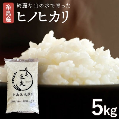  ヒノヒカリ 5kg 糸島王丸農園(谷口汰一)【いとしまごころ】[AAZ010]