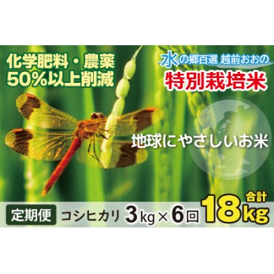 【令和8年産新米】【6ヶ月定期便】こしひかり 3kg × 6回 計18kg【白米】特別栽培米