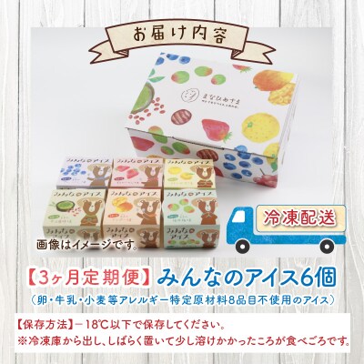 【3ヶ月定期便】 みんなの アイス 6個セット( アレルギー特定原材料8品目不使用 )