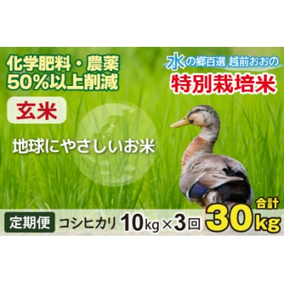 【令和8年産新米】【3ヶ月定期便】こしひかり 10kg × 3回 計30kg【玄米】特別栽培米