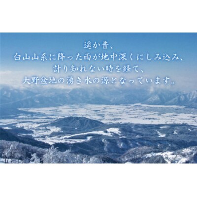 【6ヶ月連続お届け】  ＜ 定期便 ＞越前大野の天然水　悠久のしずく 　PET2L×6本 計36本