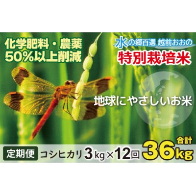 【令和8年産新米】【12ヶ月定期便】こしひかり 3kg×12回 計36kg【白米】特別栽培米