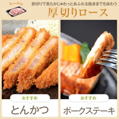 かごしま黒豚ロース肉厚切り(とんかつ・ステーキ用) 500g×隔月6回定期便 ss1074-B