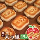 大の里(オオノサト)15個入り