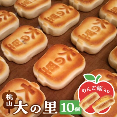 大の里(オオノサト)10個入り