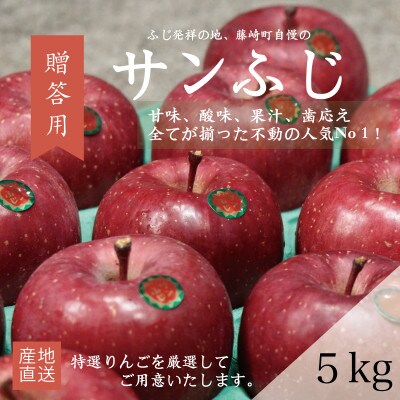 【先行受付】【12月より順次発送】【農家直送】【贈答用】藤崎町りんごサンふじ約5kg(12〜20個)