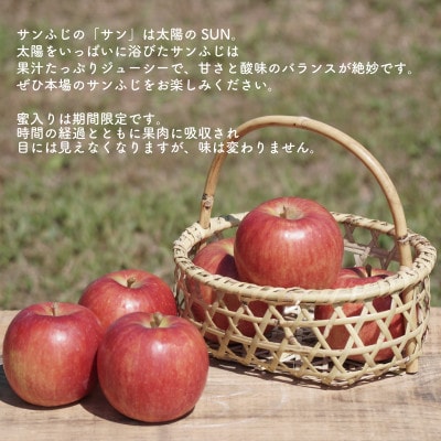 【贈答用】藤崎町産りんごサンふじ約5kg(12〜20個)
