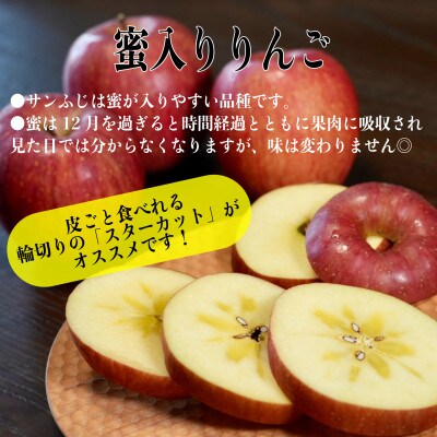 【ふじ発祥の地】藤崎町産りんご 家庭用サンふじ約10kg