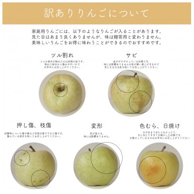 【家庭用】藤崎町産りんご　王林約10kg(24～40個)