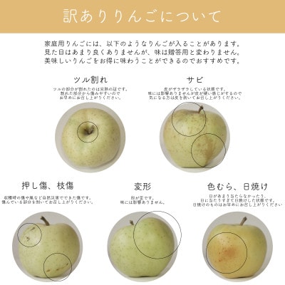 【産地直送】シナノゴールド 家庭用 3kg(7～10個)