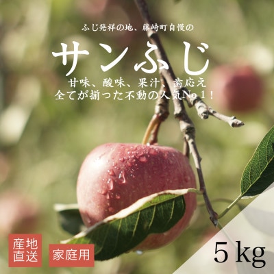【産地直送】サンふじ　家庭用　5kg(12～20個)