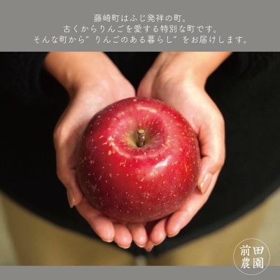 【産地直送】サンふじ　家庭用　5kg(12～20個)