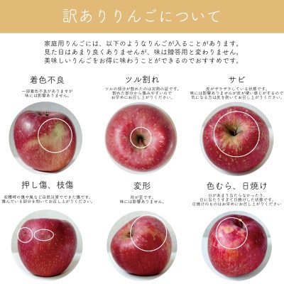 【産地直送】サンふじ　家庭用　5kg(12～20個)