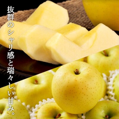 先行予約 黄王 大玉 中玉 ご家庭用 約3kg 青森りんご お礼品詳細 ふるさと納税なら さとふる